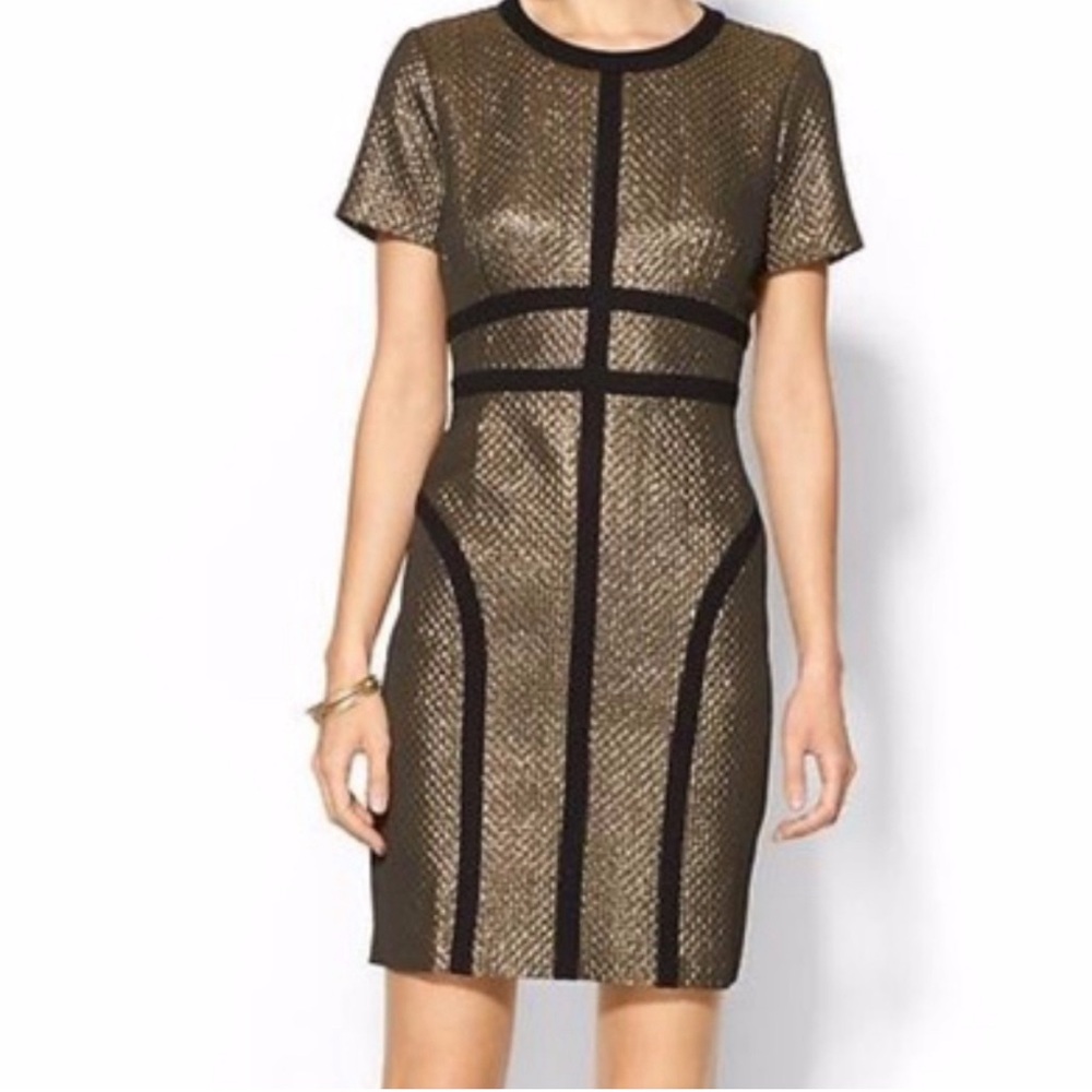 Pim + Larkin metallic dress, NWT